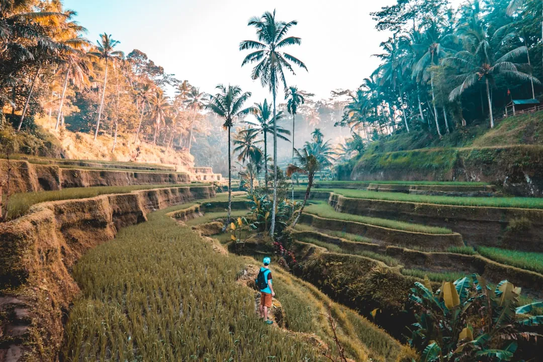 Bali Trip Cost from India: A Real Budget Breakdown for 2026
