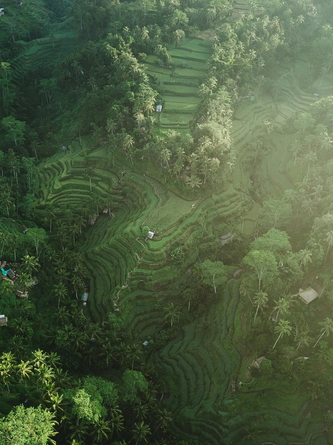 Where to Stay in Bali: Choosing the Right Area, Honestly Compared