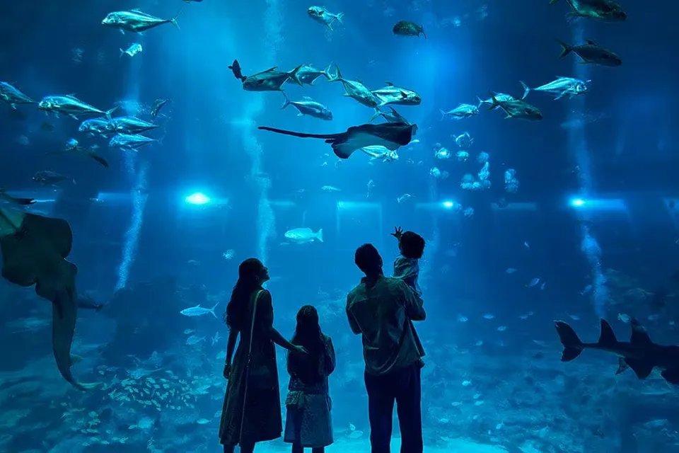 Singapore Oceanarium