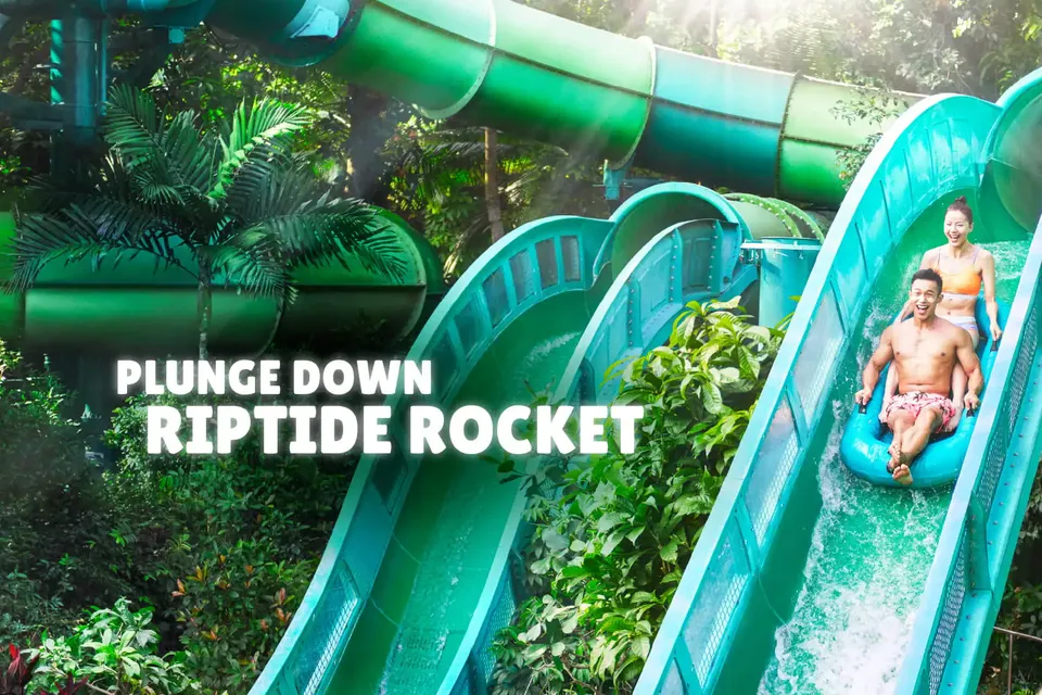Adventure Cove Waterpark