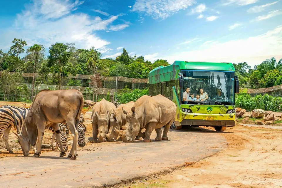 Vinpearl Safari & VinWonders Tickets (1-Day Combo)