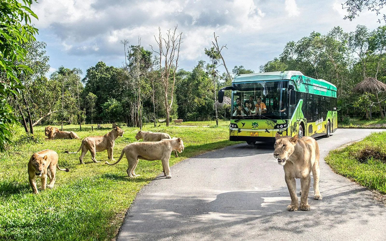 Central PQ - Vinsafari Private Tour Without Guide