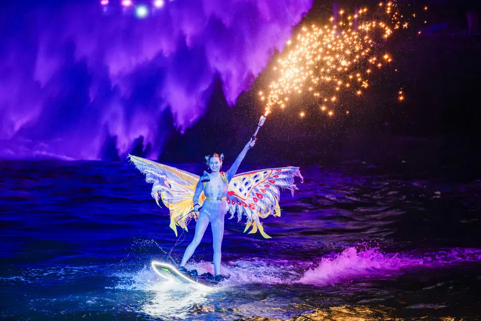 Symphony of the Sea Show With Dinner Options