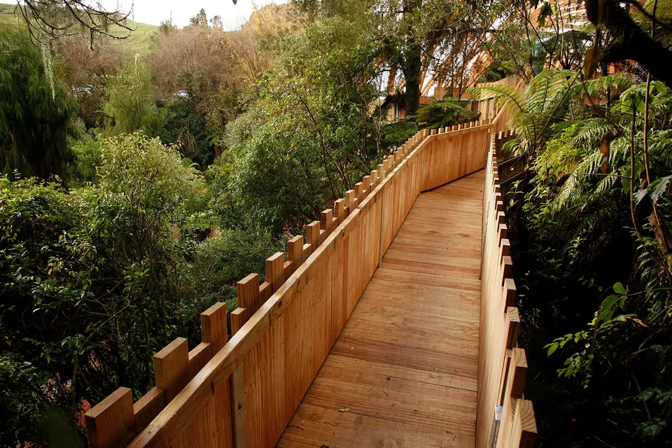 Wooden walkway surrounded by lush greenery on the Guided Tour of Waitomo Glowworm Caves.