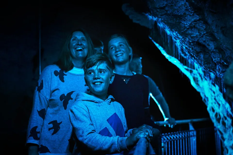 Visitors admiring glowworms in Waitomo Glowworm Caves during guided tour.