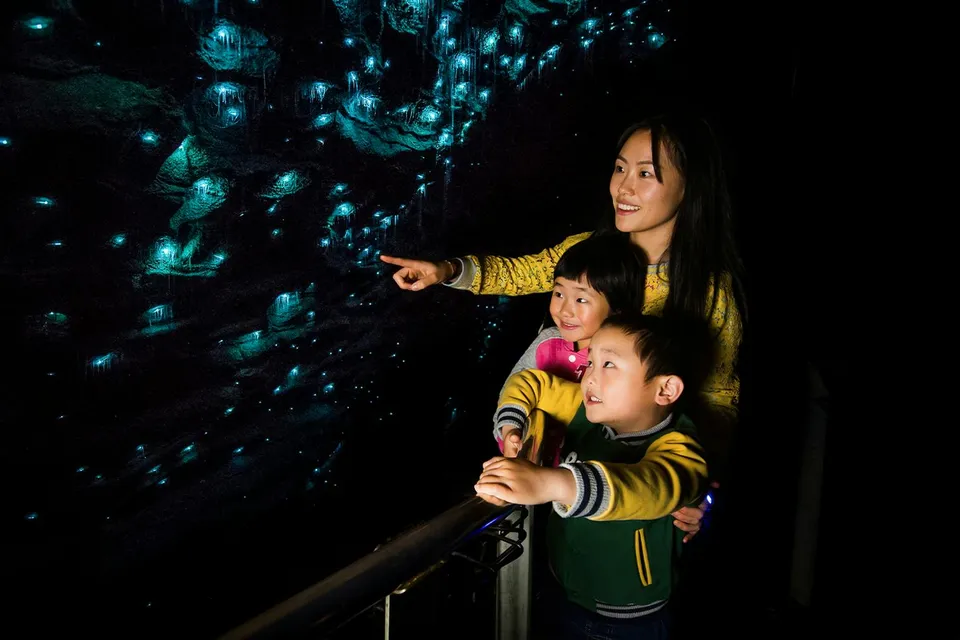 Visitors admire glowworms and stalactites in Waitomo Glowworm Caves, New Zealand.