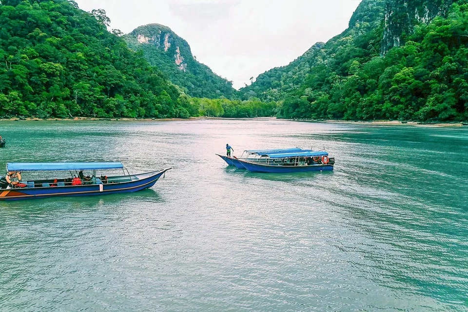 Langkawi Mangrove Tour