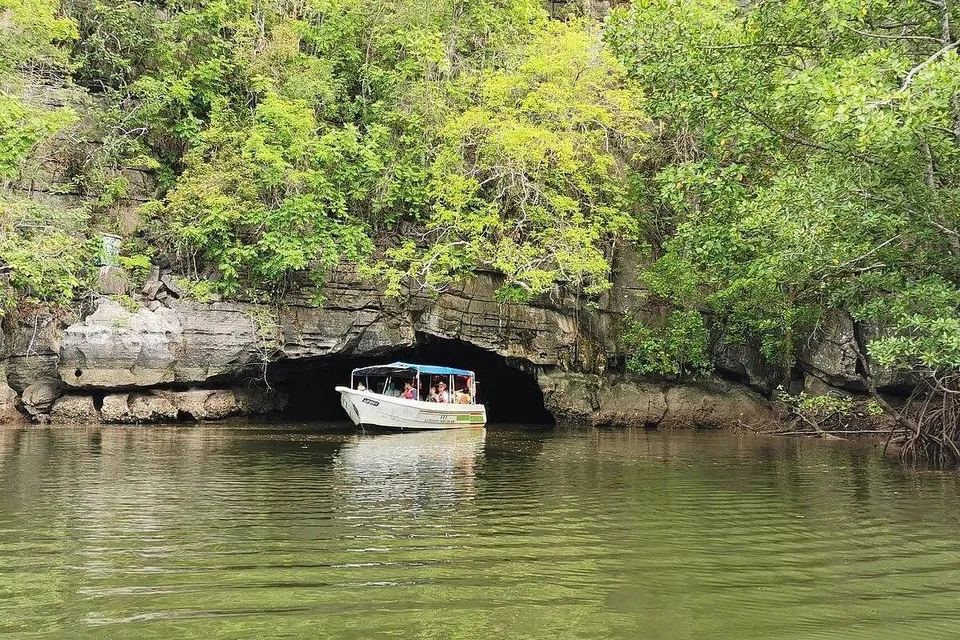 Mangrove & Cave Exploring Tour Langkawi photo 4