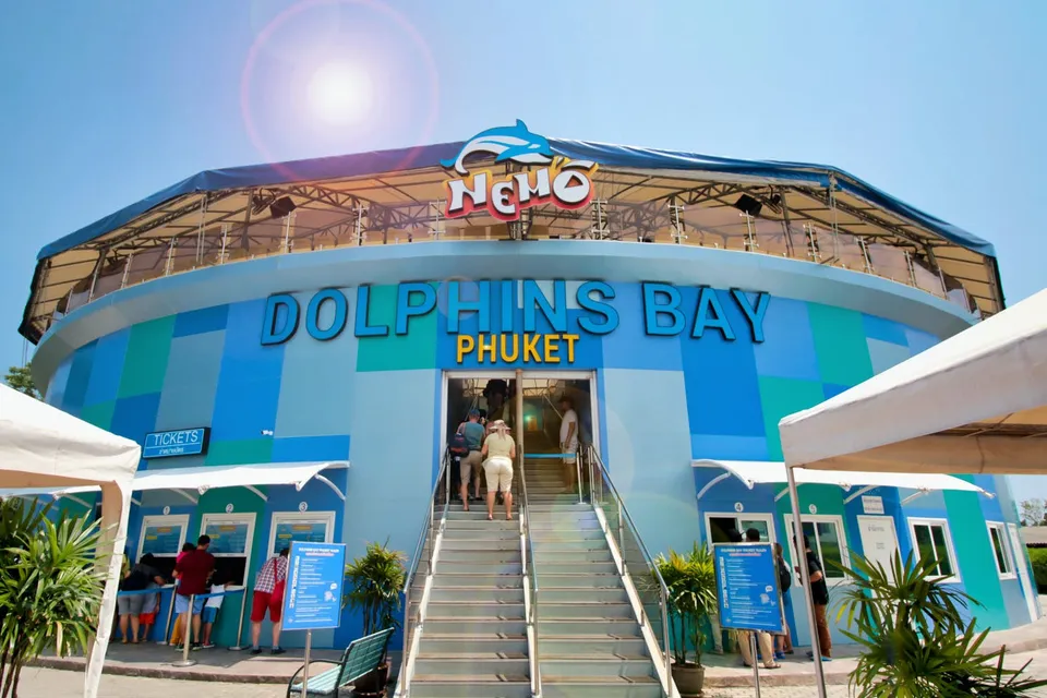 Phuket Dolphin Show Tickets with Transfers