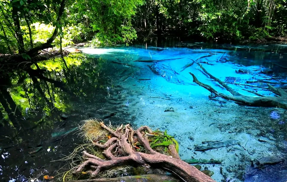 Krabi: Emerald Pool and Hot Springs Waterfall Half-Day Trip