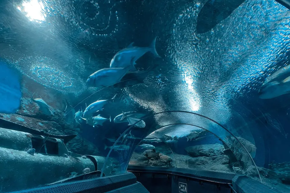 Pattaya: Underwater World Aquarium Entry Ticket