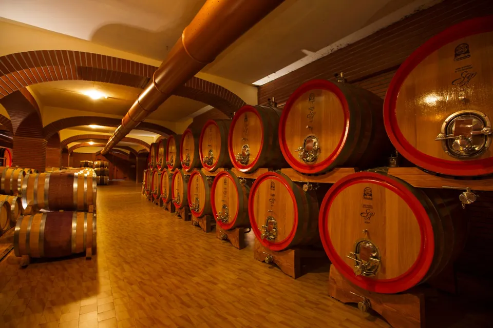 Gabala Wine Factory Tour photo 4