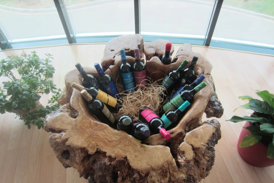 Gabala Wine Factory Tour photo 14