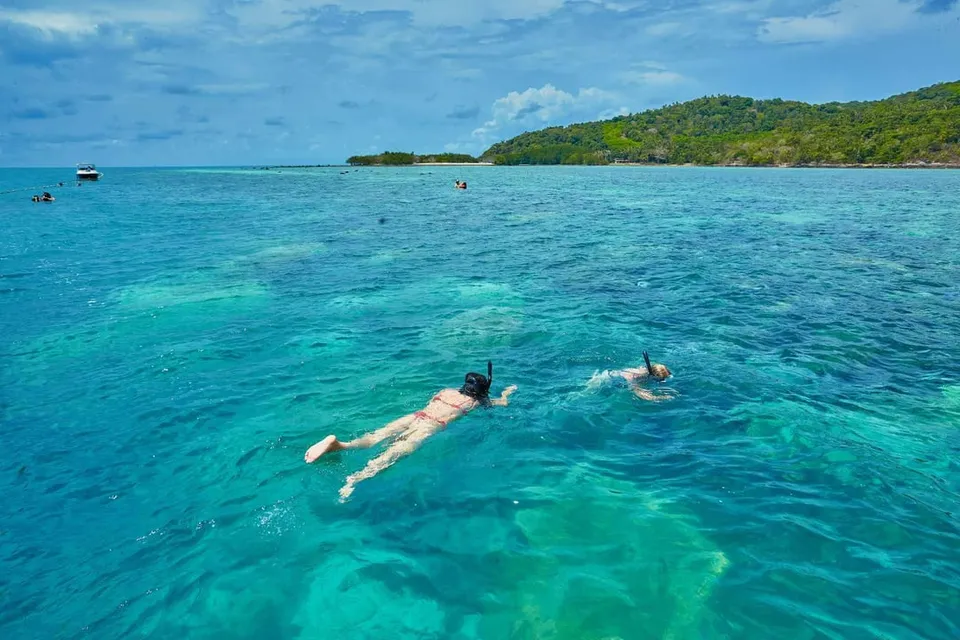 Pig Island by Speed Boat with Buffet Lunch photo 29