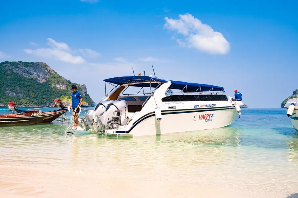 Pig Island by Speed Boat with Buffet Lunch photo 19