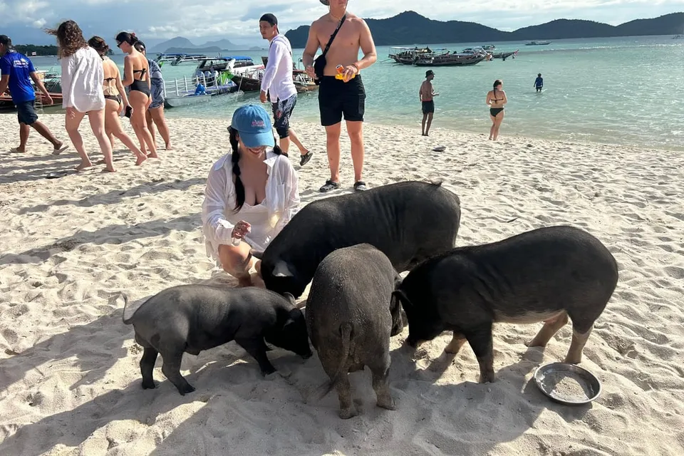 Pig Island by Speed Boat with Buffet Lunch photo 28