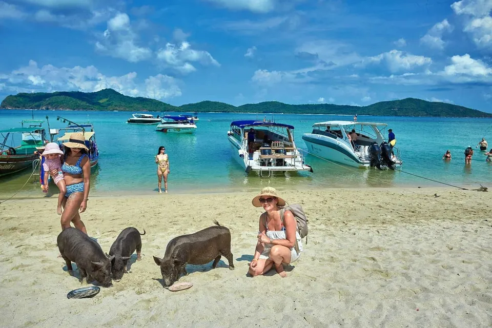 Pig Island by Speed Boat with Buffet Lunch photo 4
