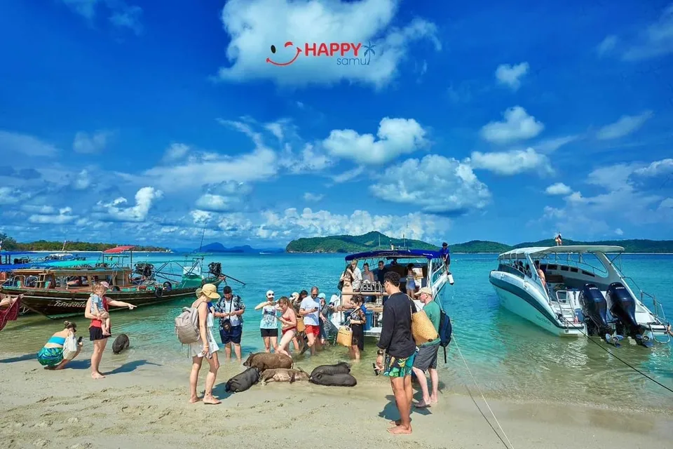 Pig Island by Speed Boat with Buffet Lunch photo 24