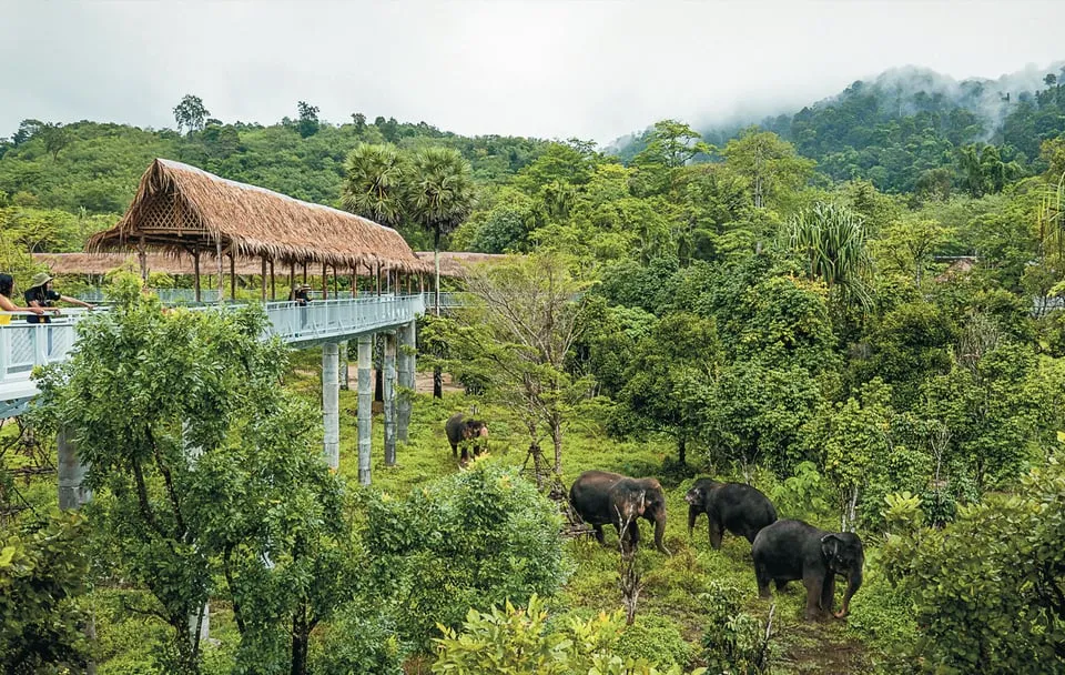 Phuket Elephant Sanctuary: Half-Day photo 6
