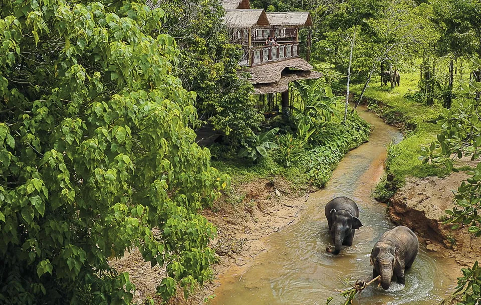 Phuket Elephant Sanctuary: Half-Day photo 8