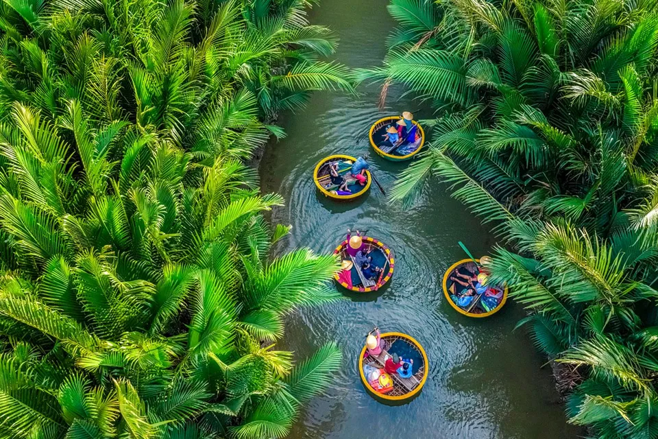 Aerial view of basket boats navigating through lush coconut water palms.