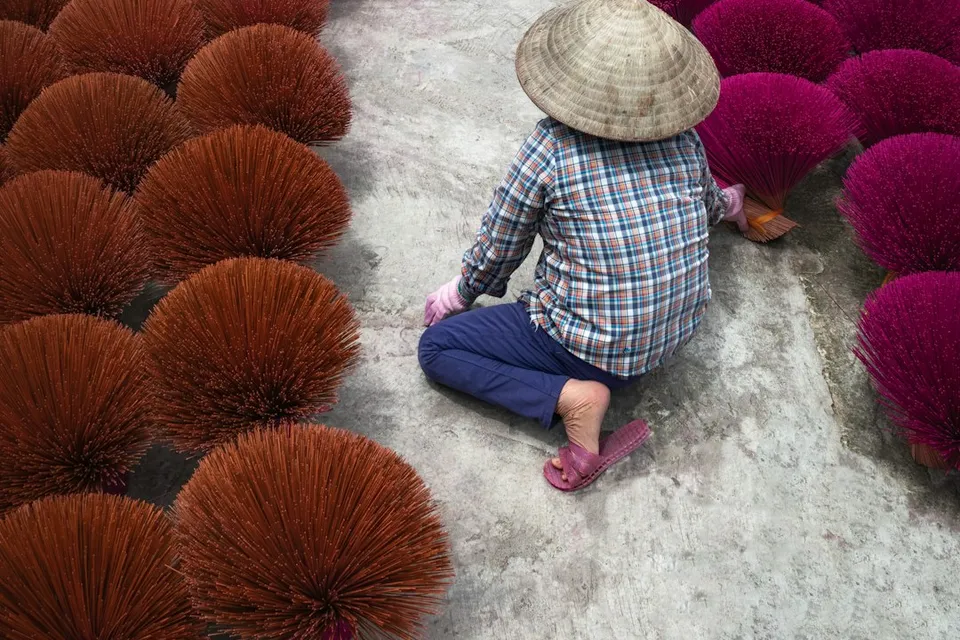 a person sitting on the ground in front of a field of purple flowers