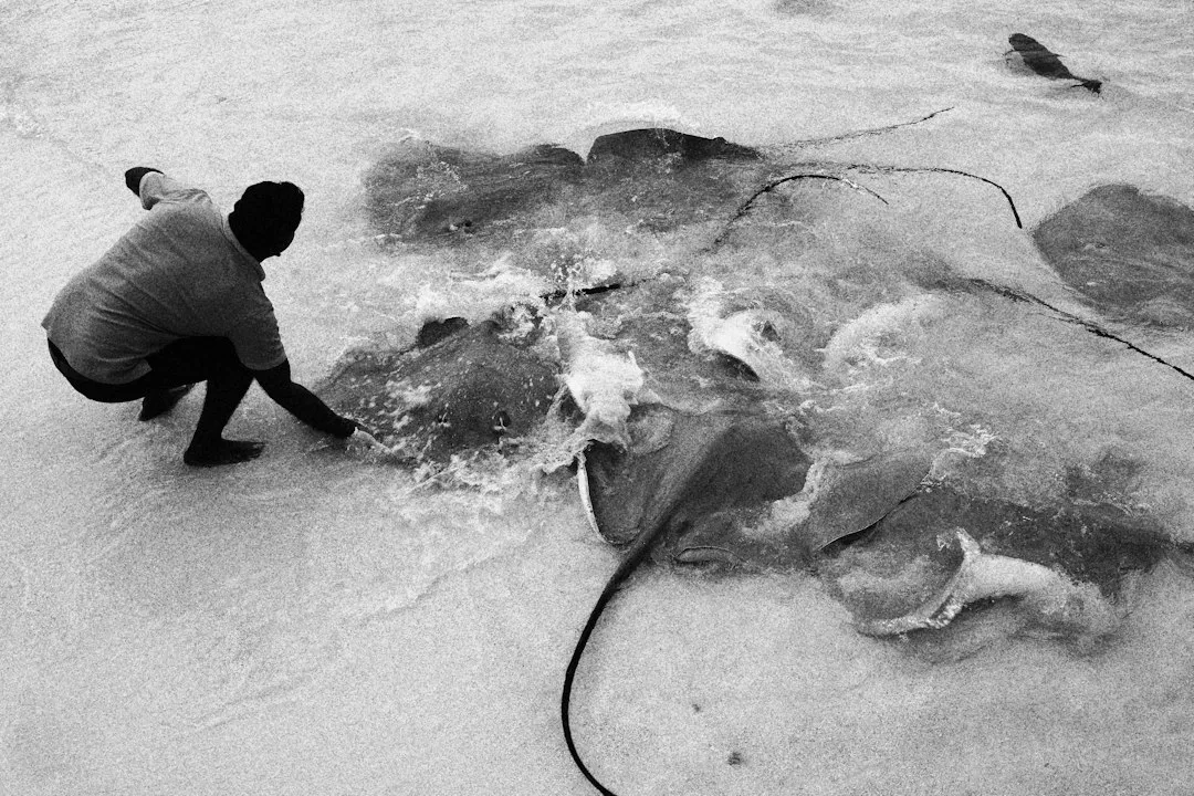 a man kneeling down next to a bunch of dead fish