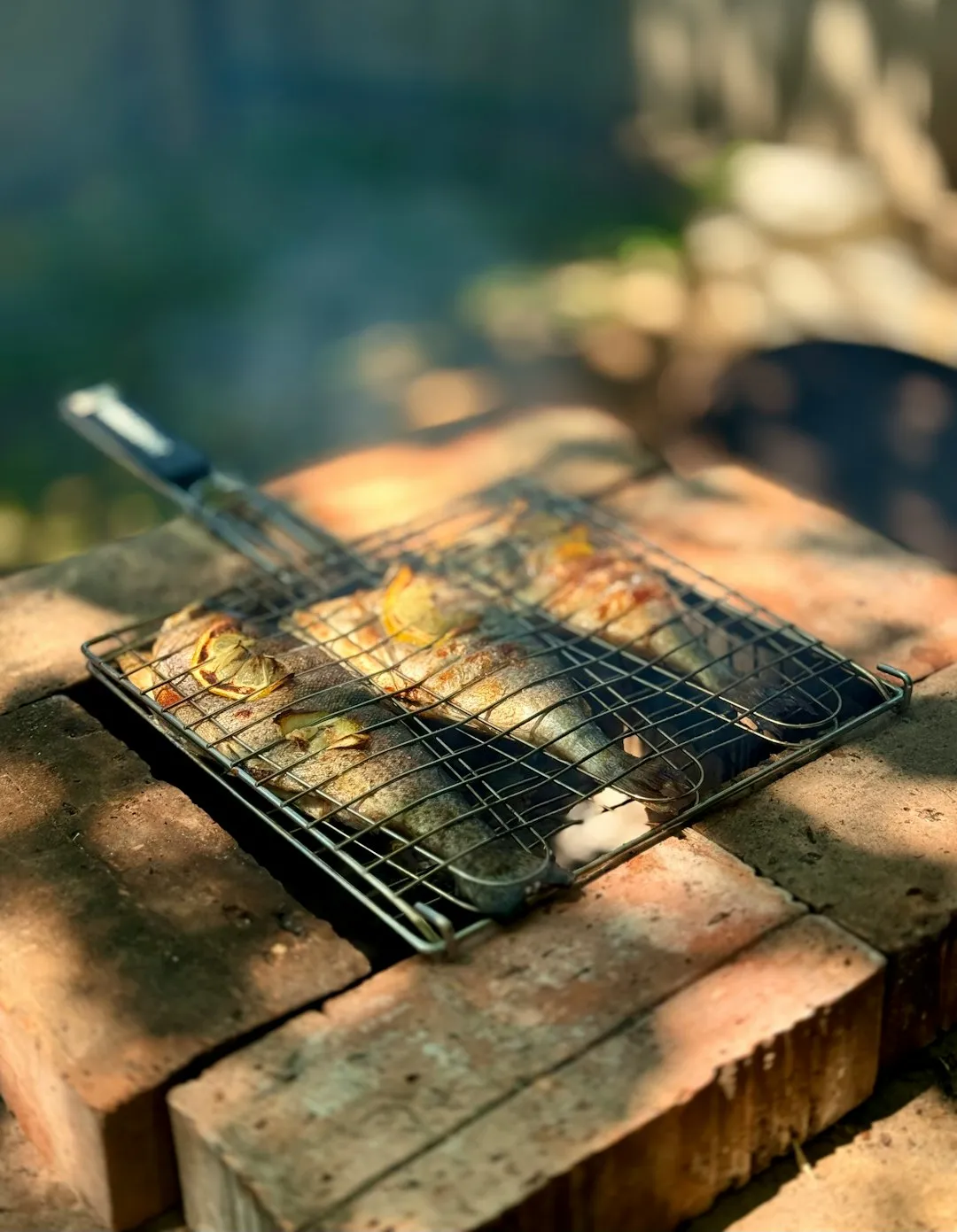 Fish grilling on a metal rack over bricks