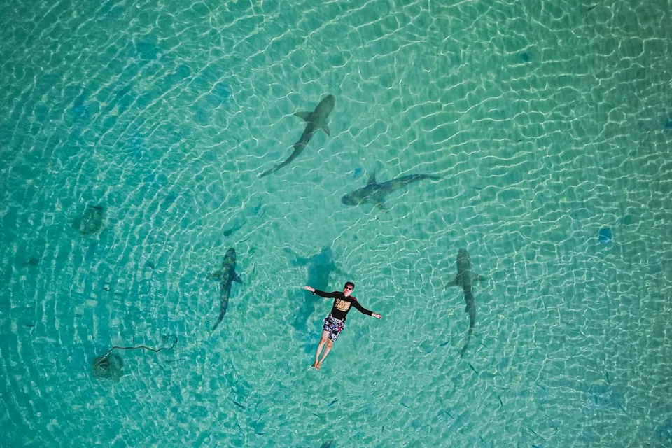 2 person in blue and white wetsuit surfing on blue sea water during daytime