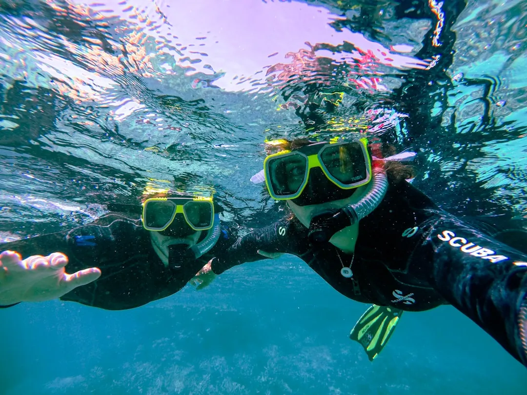 a person in scuba gear under water