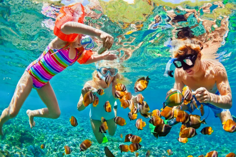 Cham Island Land tour (07:30 - 15:30 Hrs) on SIC