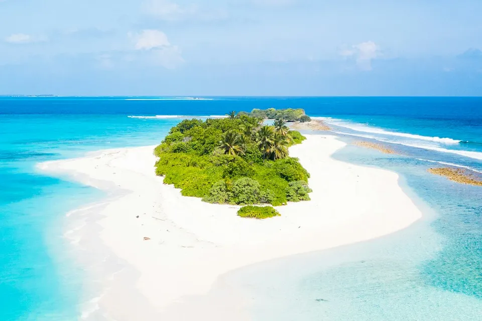 people on beach during daytime