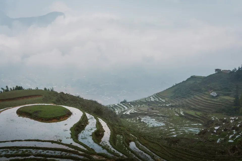 Rice terraces carved into misty green mountains under a cloudy sky