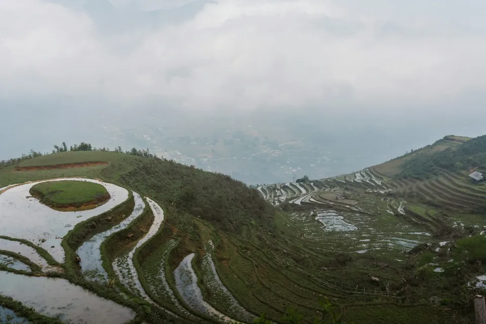 Green rice terraces filled with water on a misty mountain hillside