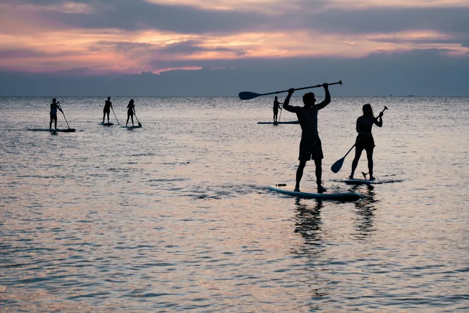silhouette photo of people riding on paddle boards