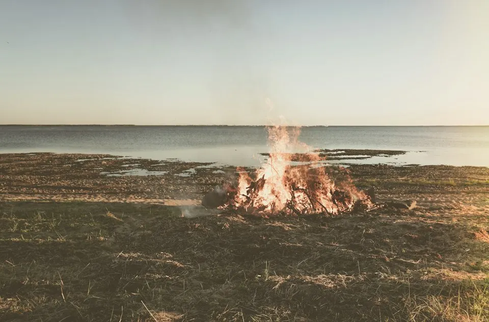 brown and white fire on brown sand near body of water during daytime