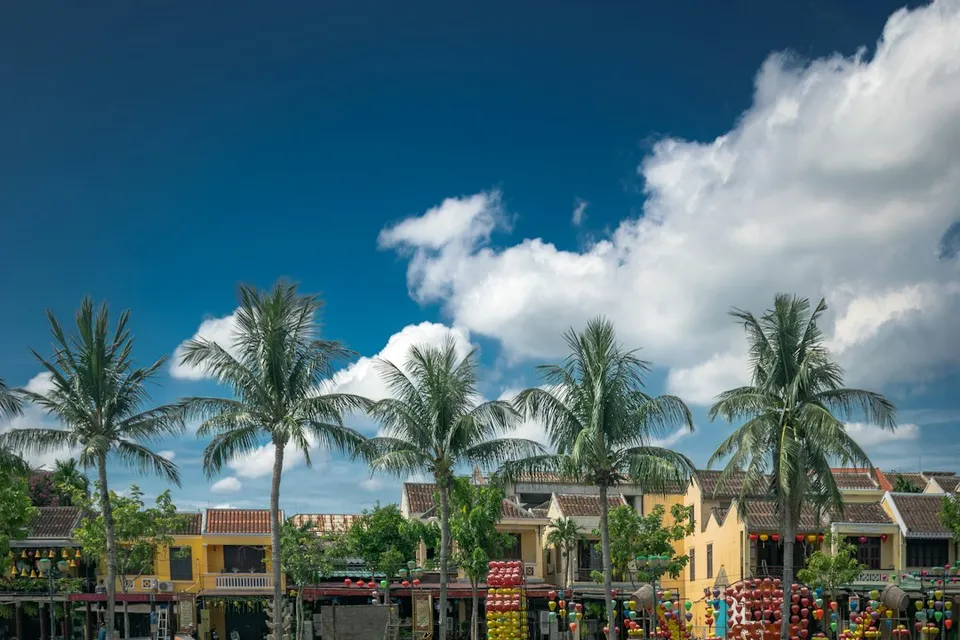 a body of water surrounded by palm trees