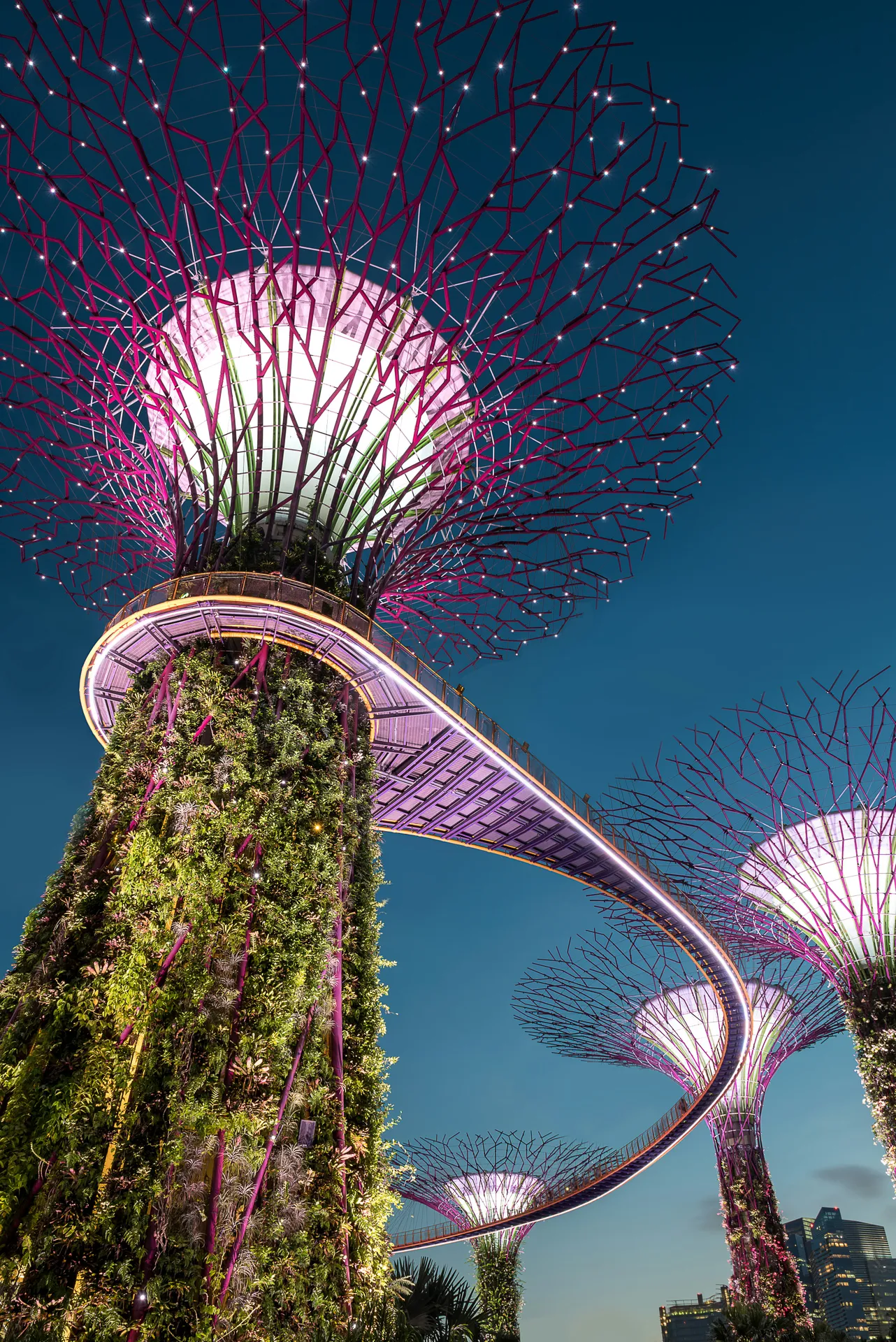 Singapore photo 2