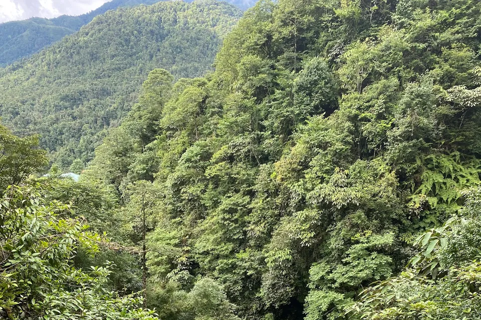 Silver Waterfall photo 8
