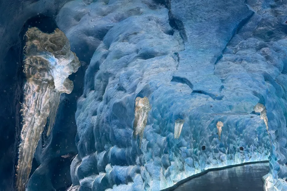 Ice Jungle Phu Quoc photo 10