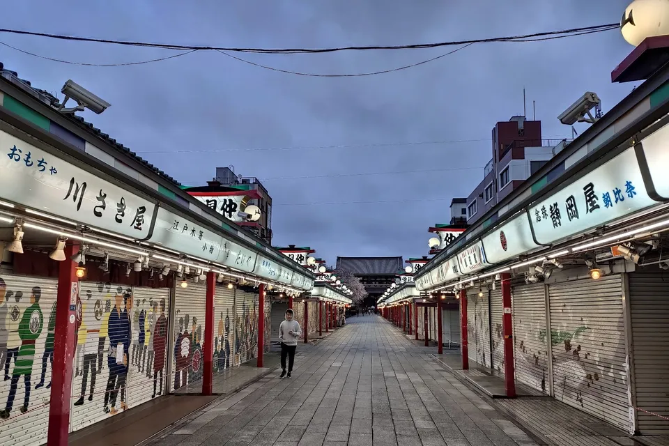 Full Day Tokyo City Tour photo 7