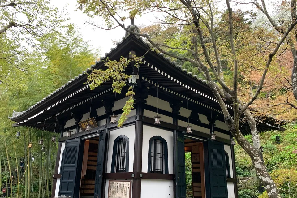 Kamakura Tour photo 11