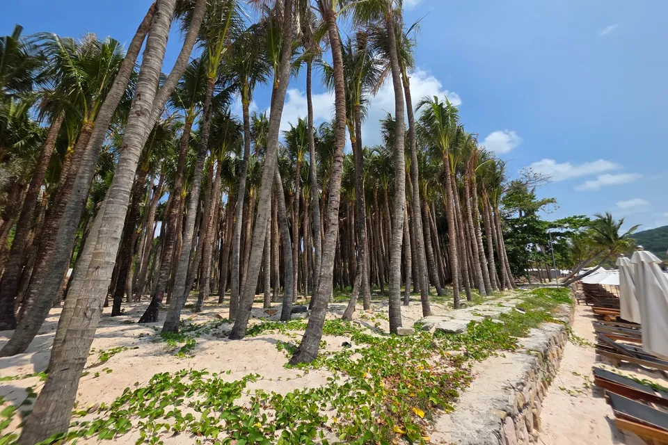 South Island Phu Quoc Tour On SIC With Lunch photo 9