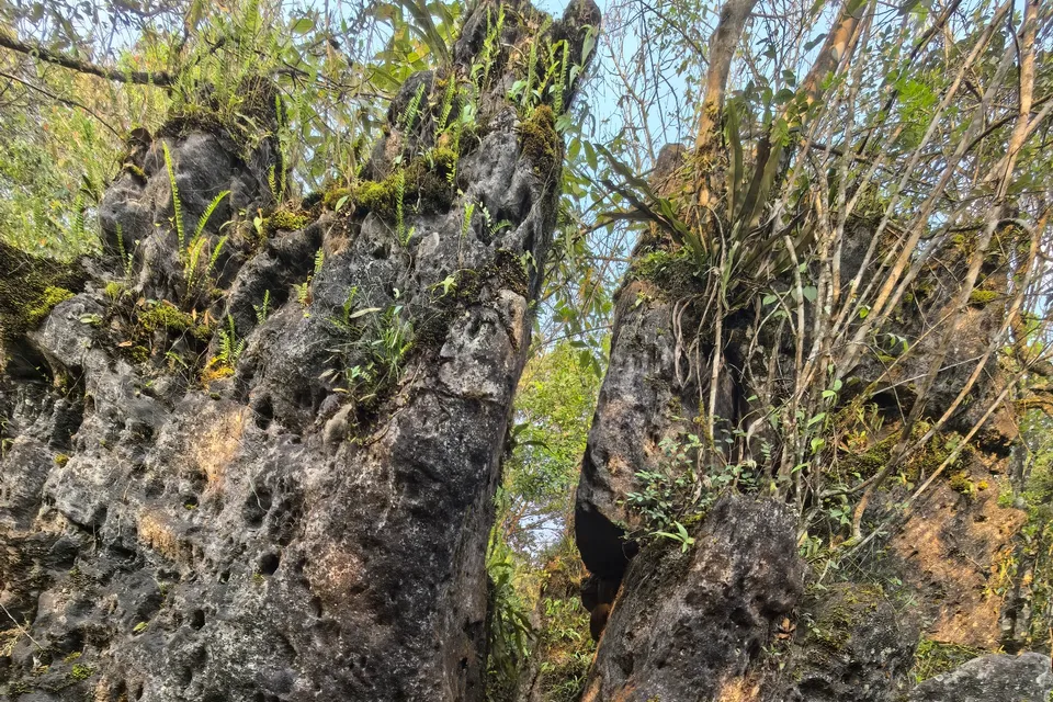 Ham Rong Mountain photo 6