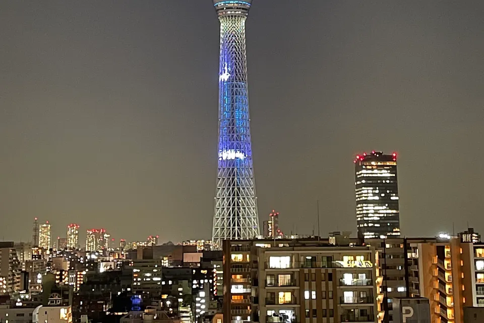 Full Day Tokyo City Tour photo 17