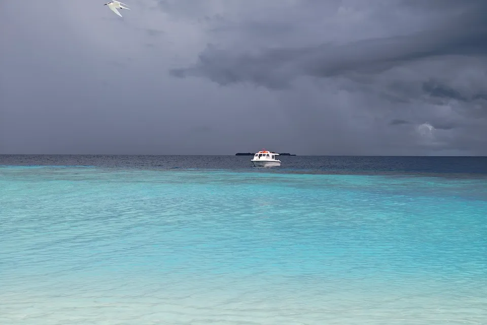 Shark Bay Drone Shoot by h78 Guraidhoo photo 11