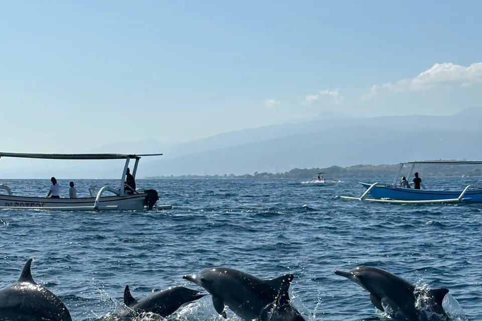Lovina Dolphin Watching at Sea photo 2