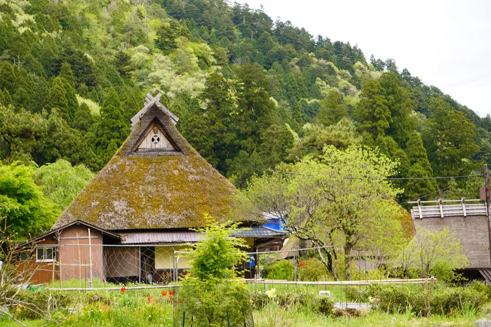 Amanohashidate, Ine Bay And  Miyama Village Full Day Tour photo 6