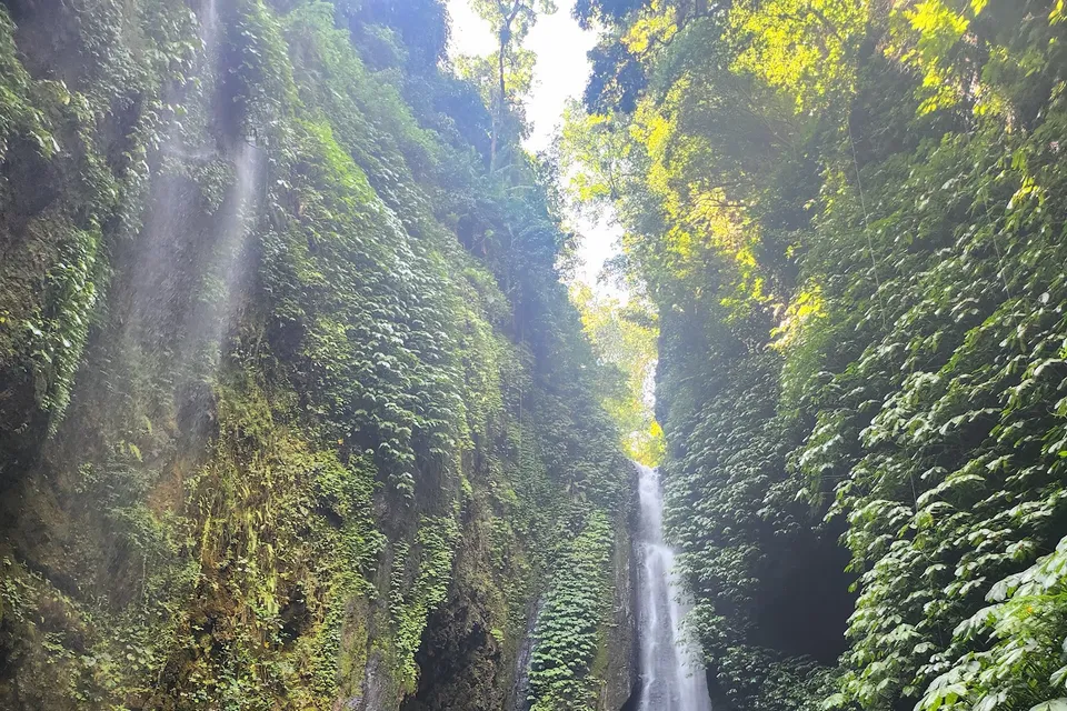 Sekumpul Falls photo 2