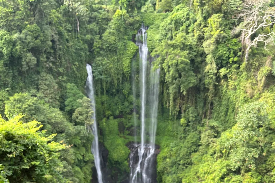 Sekumpul Falls photo 4